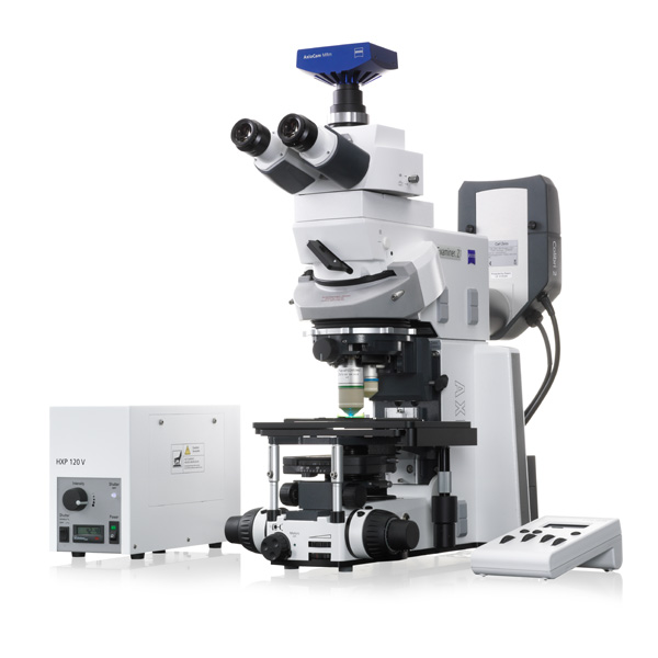 Zeiss Axio Examiner Microscope