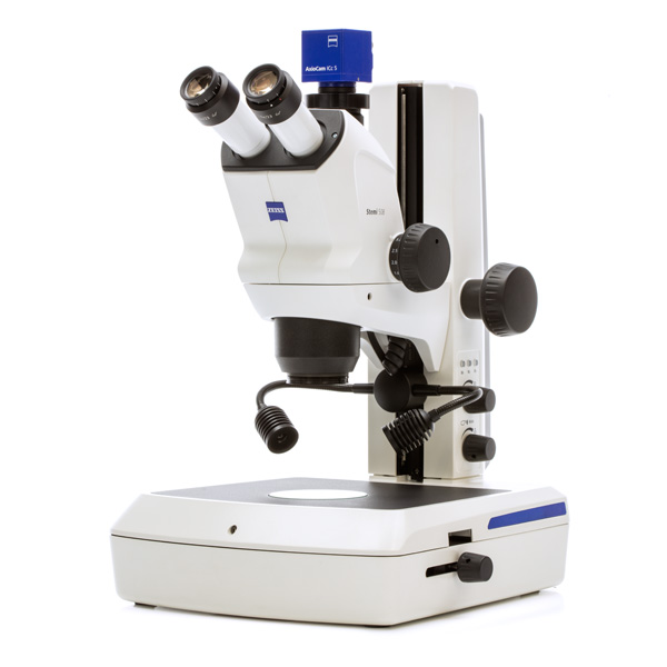 Zeiss Stemi Microscope